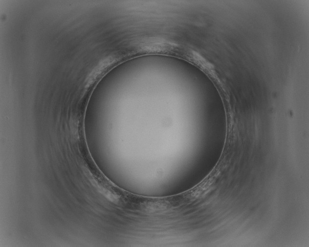 X0000073870106200608171017