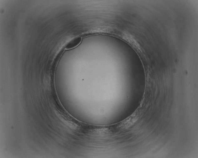 X0000073870108200608171017