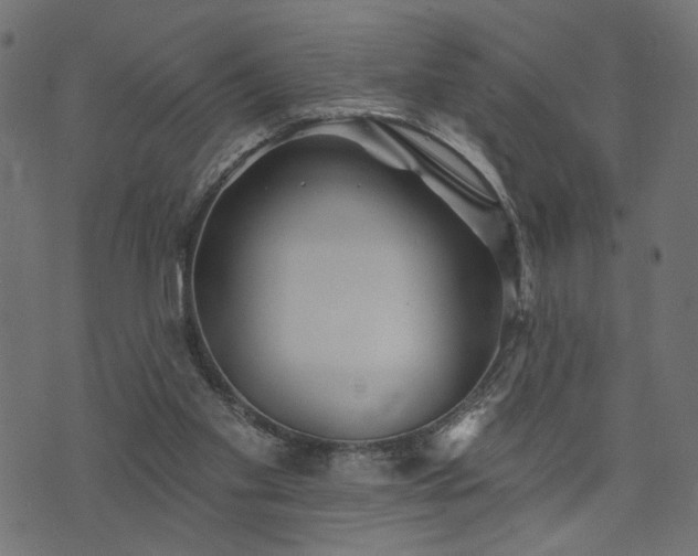 X0000073870109200608171017