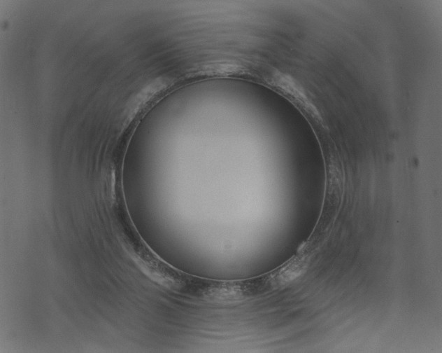 X0000073870110200608171017