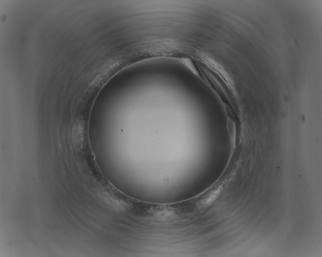 X0000073870113200608171017