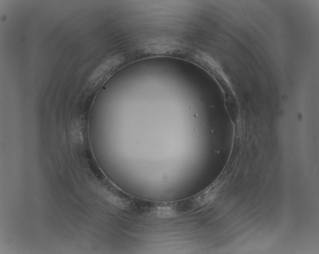 X0000073870114200608171017