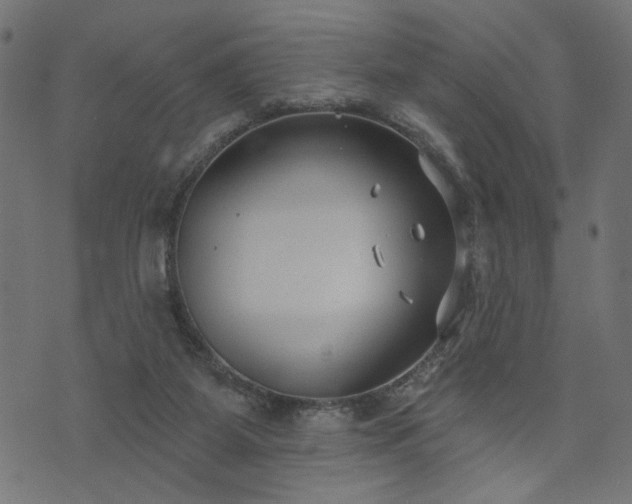 X0000073870115200608171017