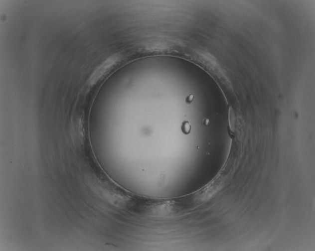 X0000073870116200608171017