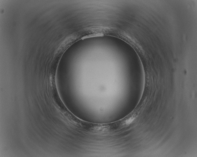 X0000073870117200608171017