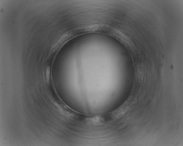 X0000073870118200608171017