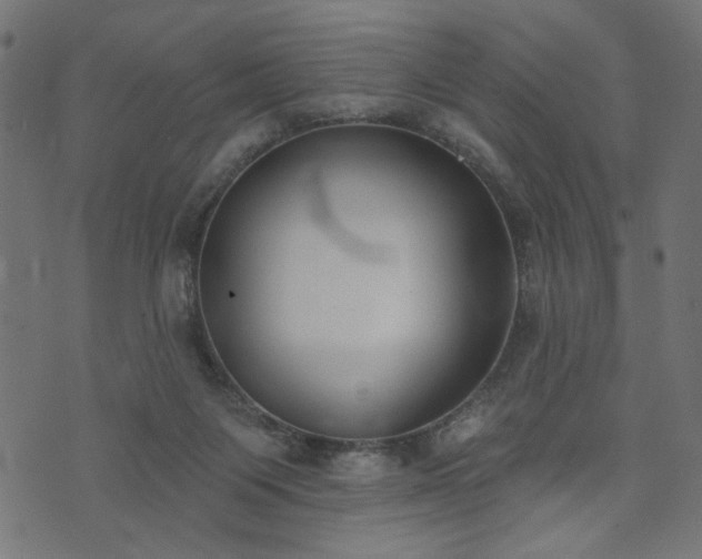 X0000073870119200608171017