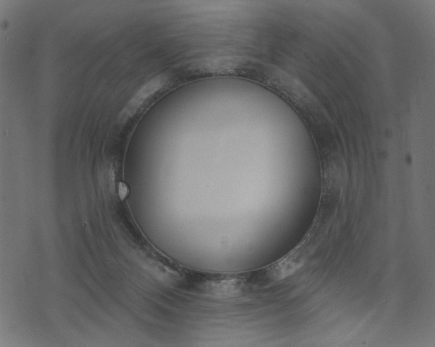 X0000073870120200608171017