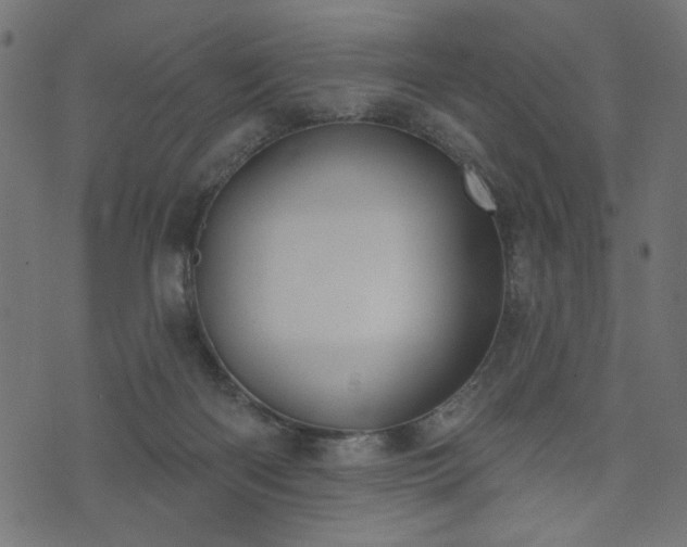 X0000073870122200608171017