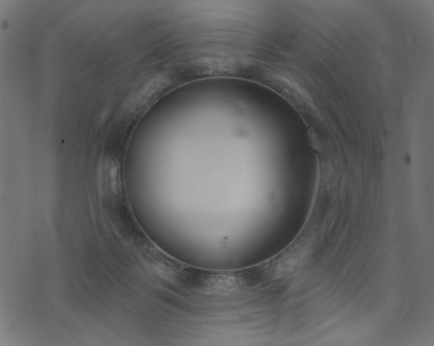 X0000073870123200608171017