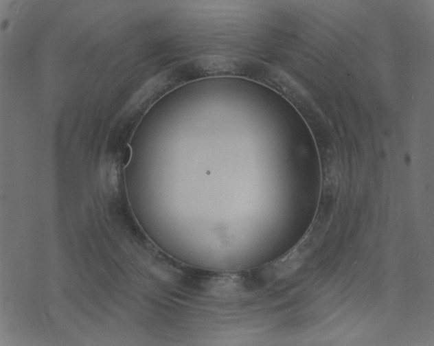 X0000073870124200608171017