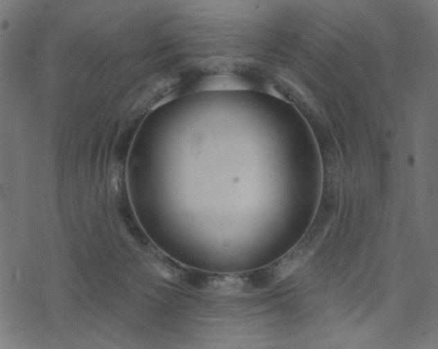 X0000073870125200608171017