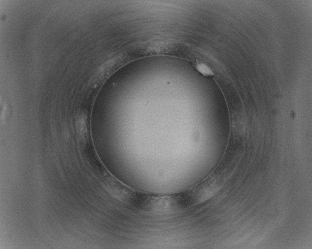 X0000073870127200608171017