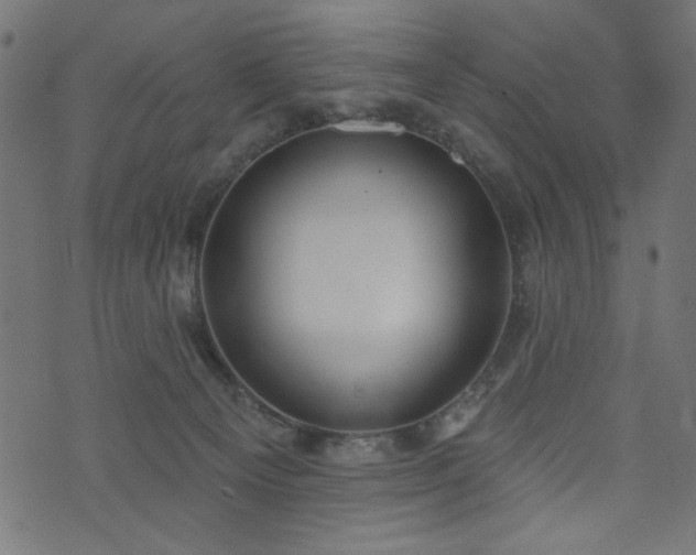 X0000073870129200608171017