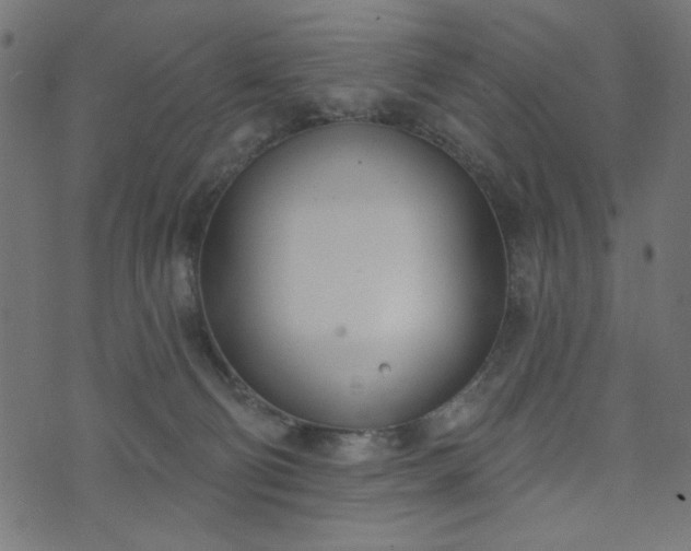 X0000073870130200608171017