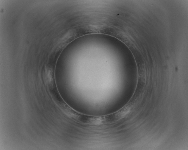 X0000073870131200608171017