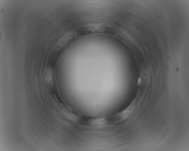 X0000073870132200608171017