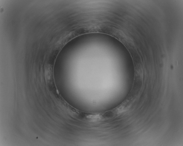 X0000073870133200608171017