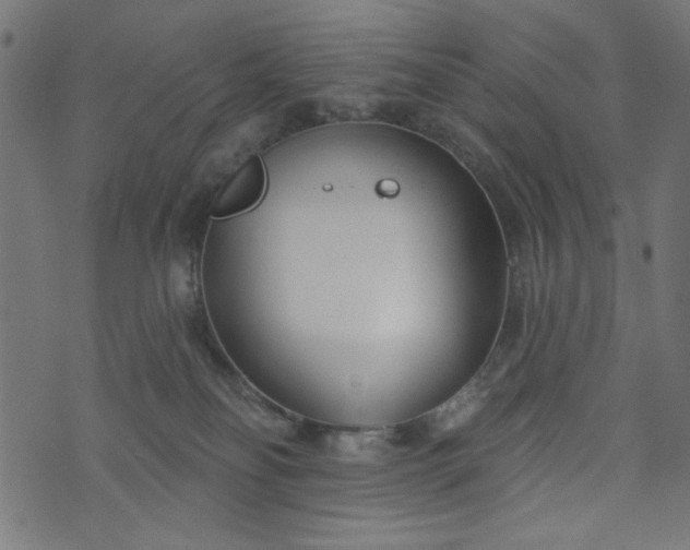 X0000073870134200608171017