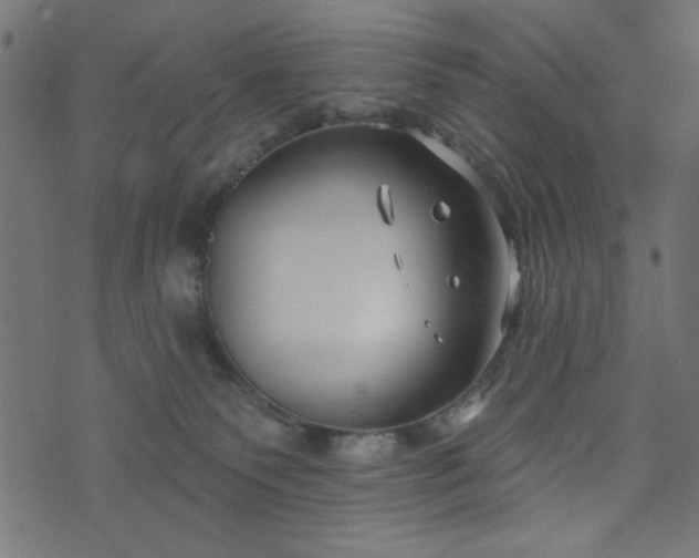 X0000073870135200608171017