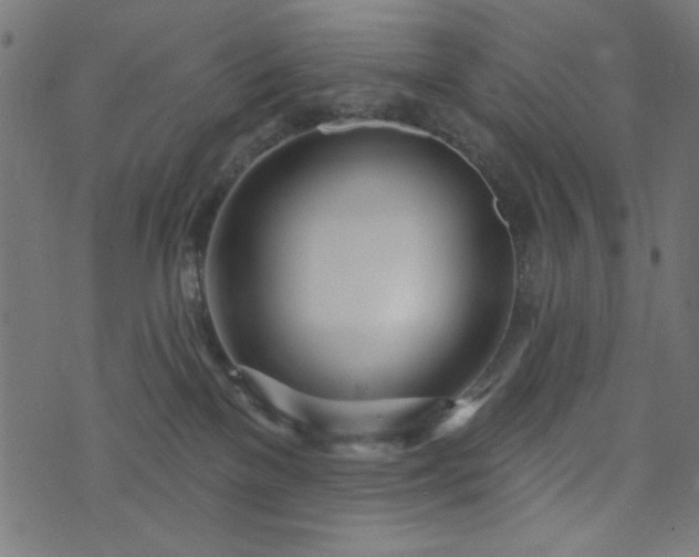 X0000073870137200608171017