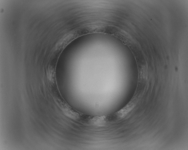 X0000073870138200608171017