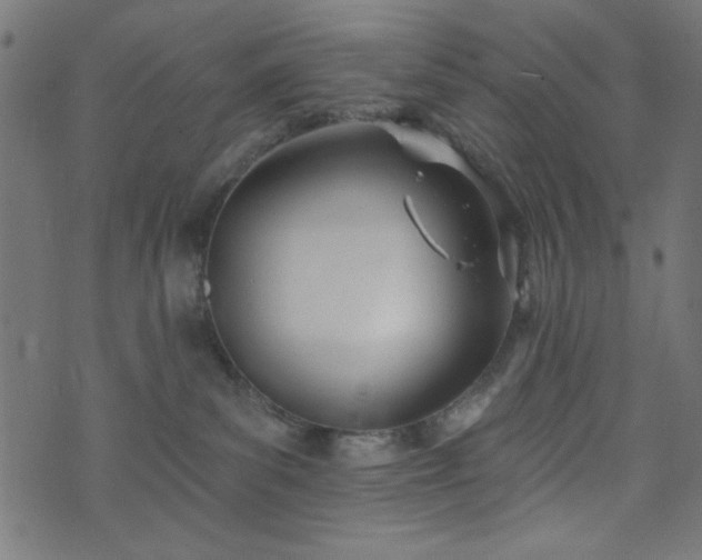 X0000073870139200608171017