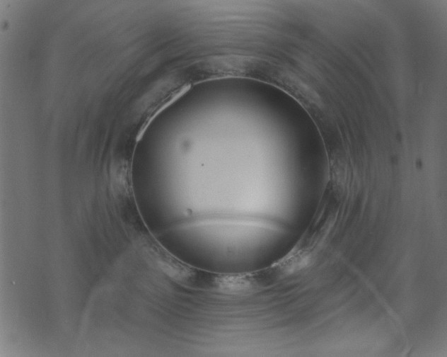 X0000073870141200608171017