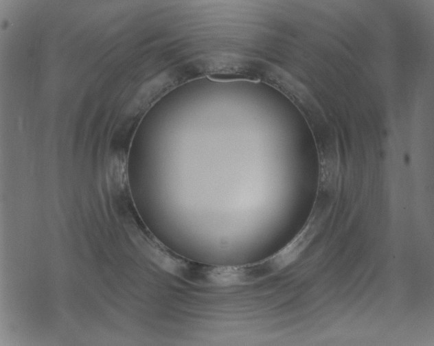 X0000073870142200608171017