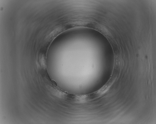 X0000073870143200608171017