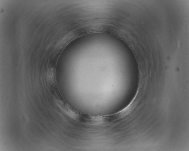 X0000073870144200608171017