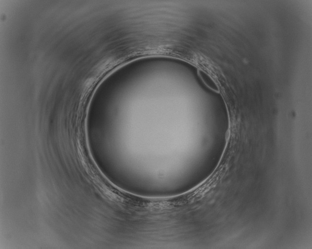 X0000073870145200608171016