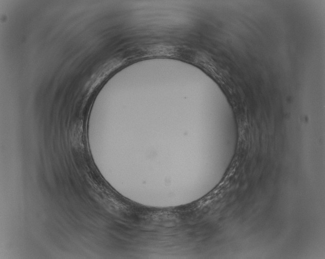 X0000073870146200608171016