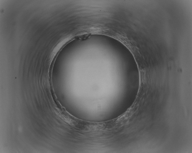 X0000073870147200608171016