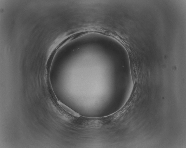 X0000073870152200608171016