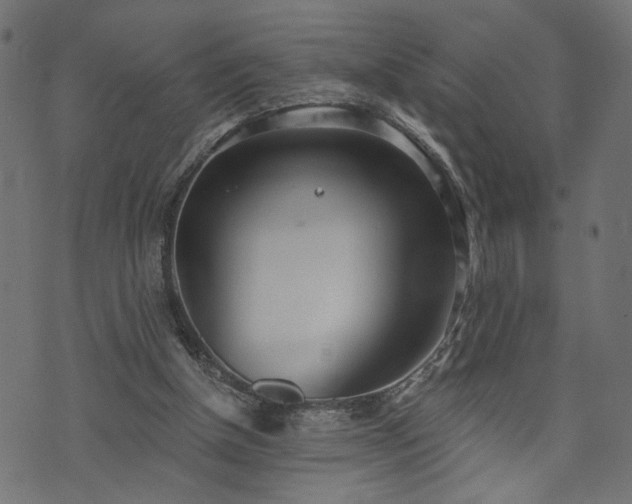 X0000073870154200608171016