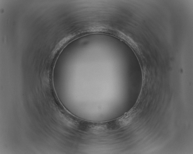 X0000073870155200608171016