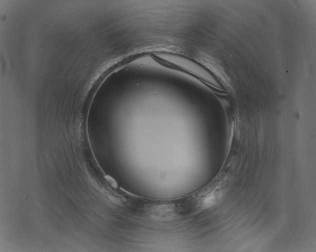 X0000073870156200608171016