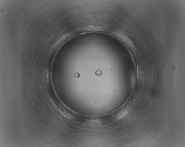 X0000073870157200608171016