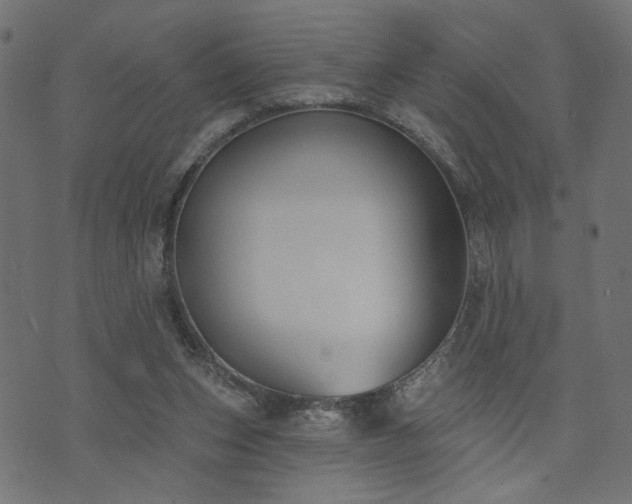 X0000073870159200608171016