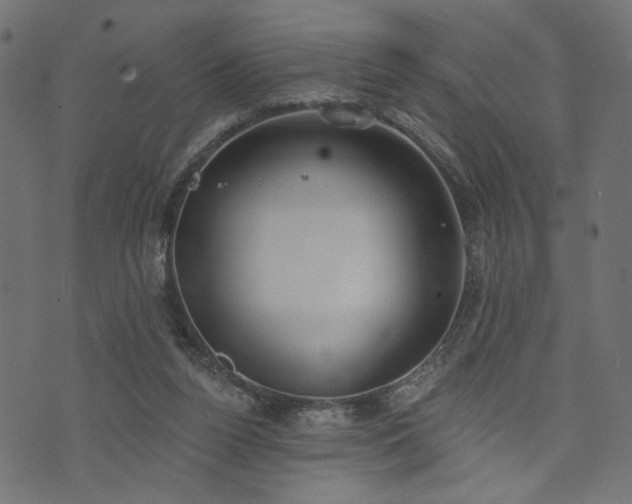 X0000073870160200608171016