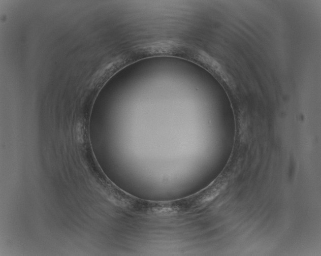 X0000073870161200608171016