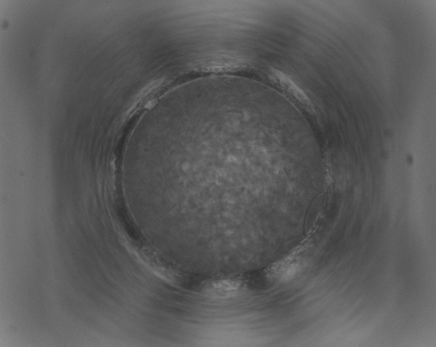 X0000073870163200608171016