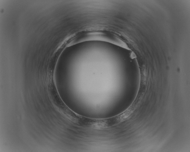 X0000073870168200608171016