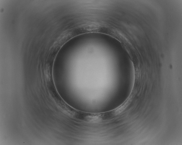 X0000073870170200608171016