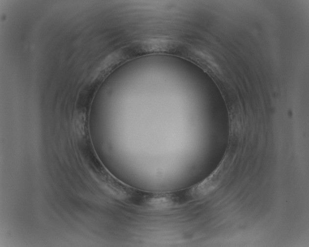 X0000073870171200608171016