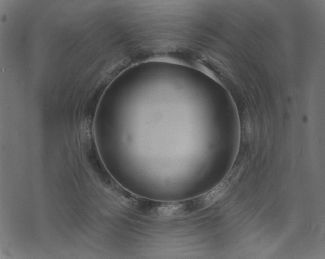 X0000073870172200608171016