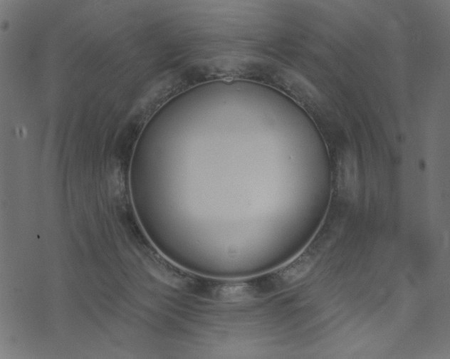 X0000073870173200608171016