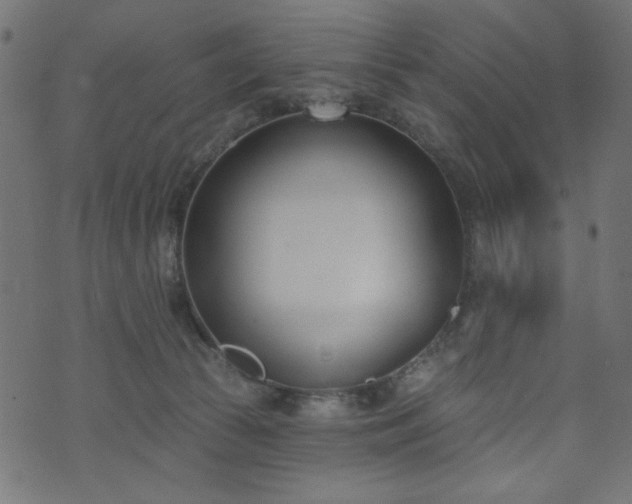 X0000073870177200608171016