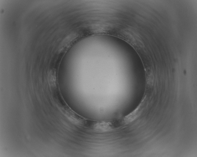 X0000073870179200608171016